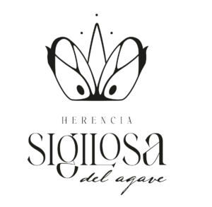 logo negro